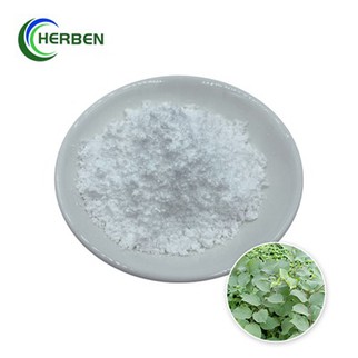 Powdwr Resveratrol Gwyn