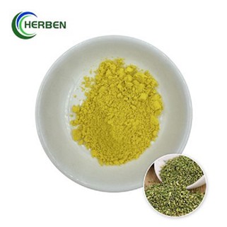 Detholiad Rutin Powdwr