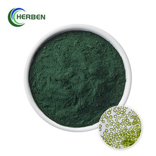 Powdwr Chlorella Vulgaris