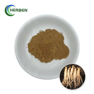Detholiad Deilen Ginseng