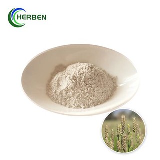 Powdwr Husk Psyllium Naturiol