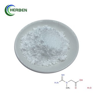 Powdwr Monohydrate Creatine Pur