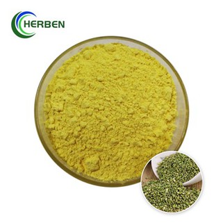 Powdwr Detholiad Quercetin Dihydrate 95%