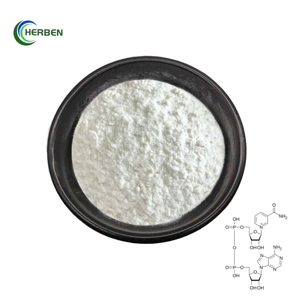 Nicotinamide Adenine Dinucleotide Powdwr